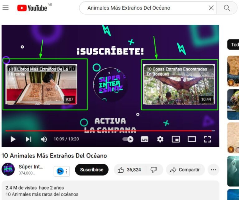SEO en yutube